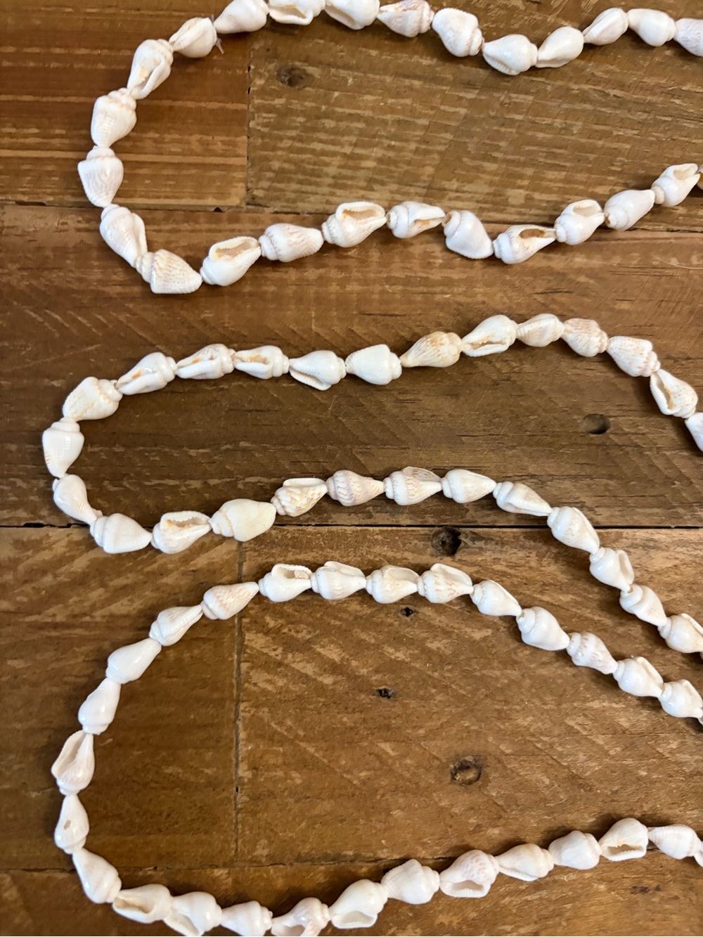 Shell Necklace Bundle New without Tag